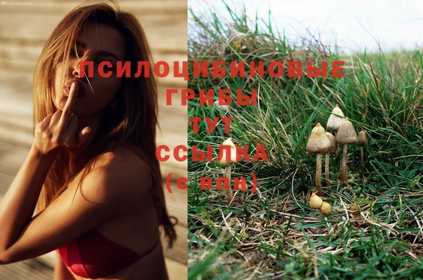 синтетический гашиш Верхний Тагил